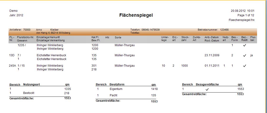 Auswertungen_Flächenspiegel